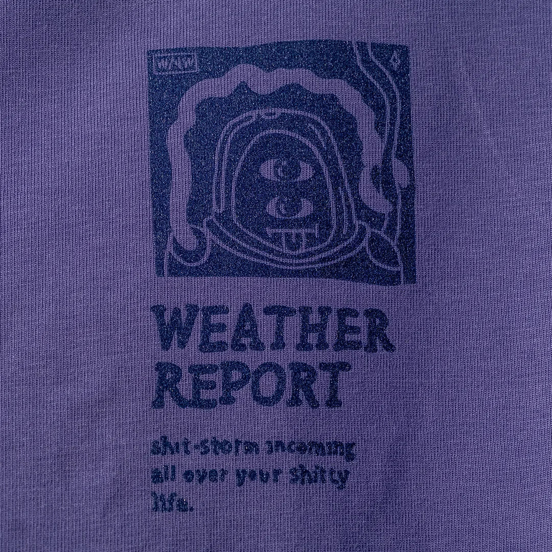 Bummo's Weather Report - Monochrome T-shirt